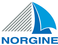 logo-norgine